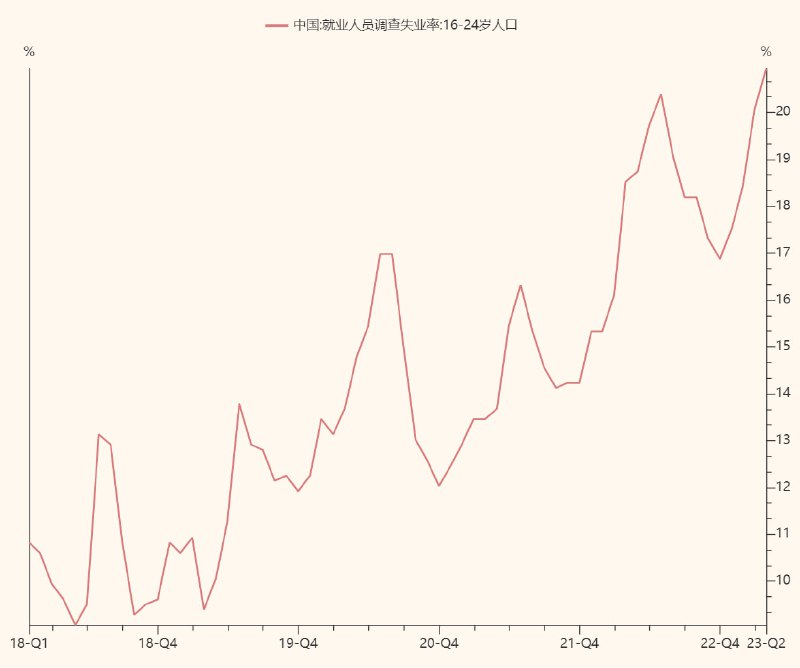 4月青年失业率20.4%，历史新高