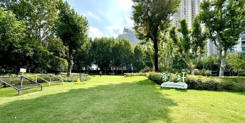 周末天好，去躺坪了