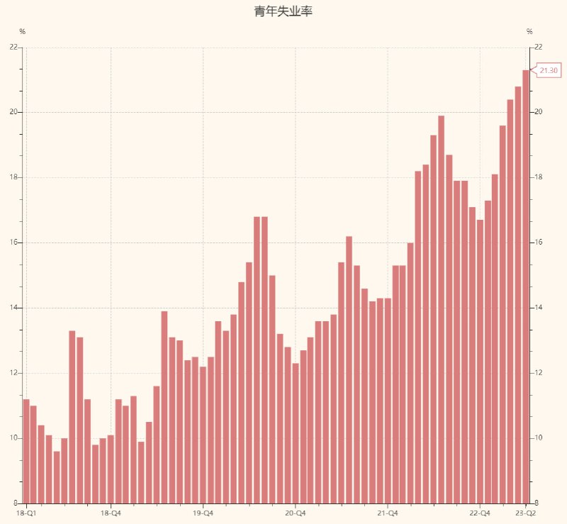 6月青年失业率21.3%，新高